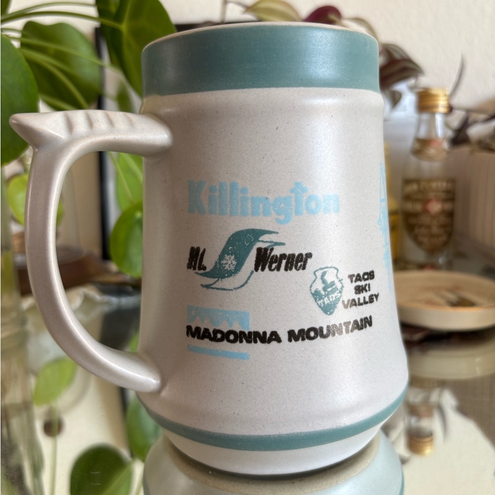 Vintage Ski Resort Mountain Ceramic Mug - Teal and Cream with Aspen, Vail & more